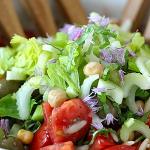 Kann Salat eine Mahlzeit sein?